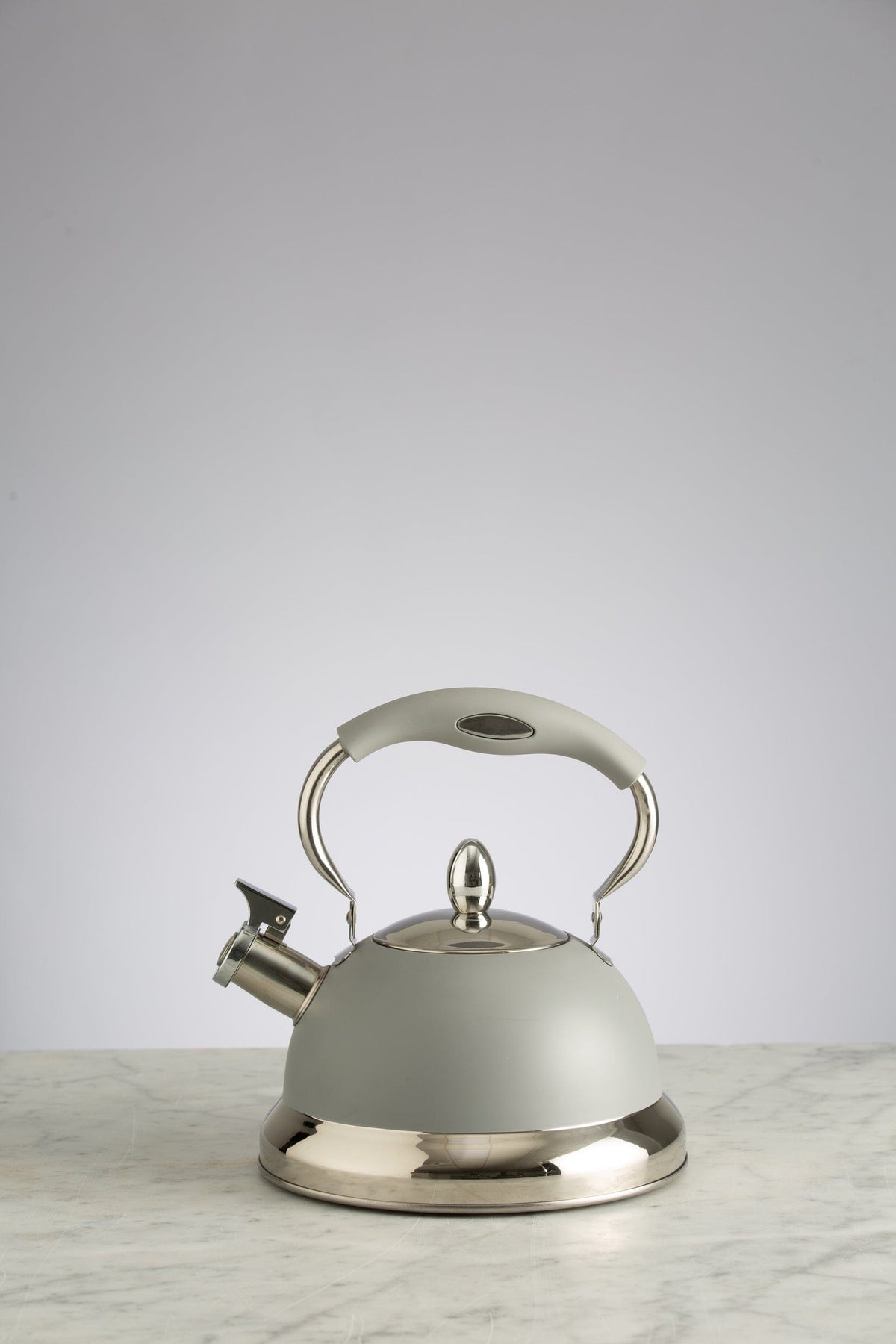 Typhoon CANISTER Typhoon Living Stove Top Kettle Grey 2.5L TY1401167 (7176867676249)