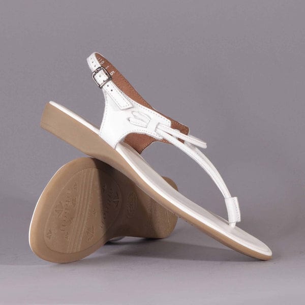 Froggie Sandal Spaghetti Strap Sandal White (7288619008089)
