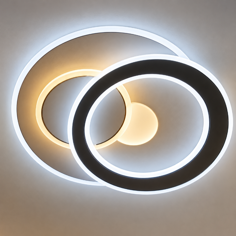 Ceiling Light 6685-1/500 (11485).