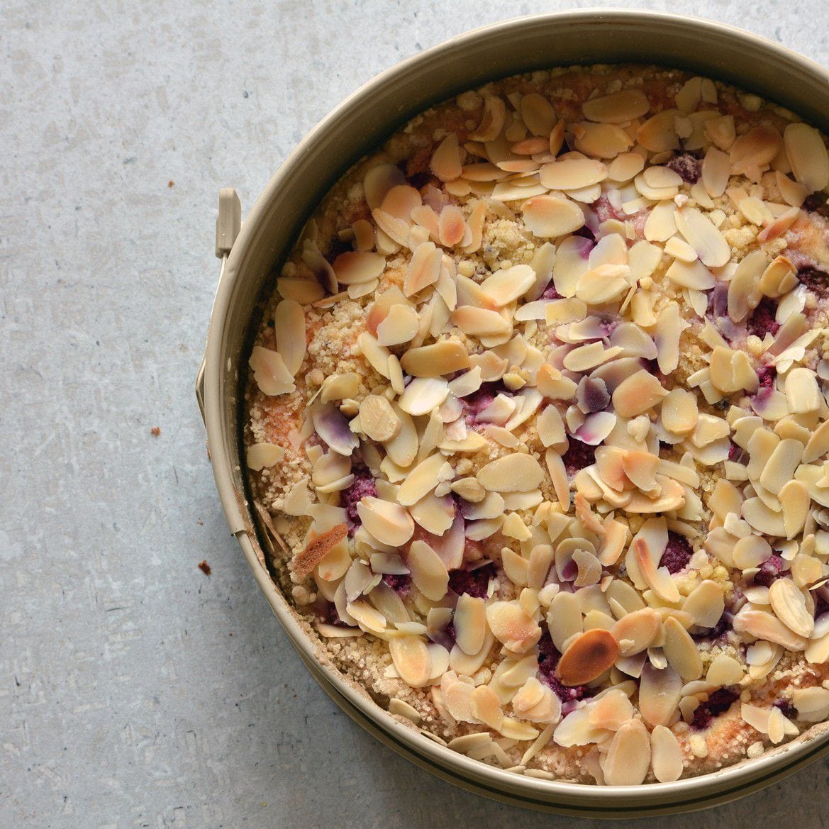 EETRITE loaf pan Eetrite Gold Non Stick Round Springform Cake Pan ER0488 (7113302933593)