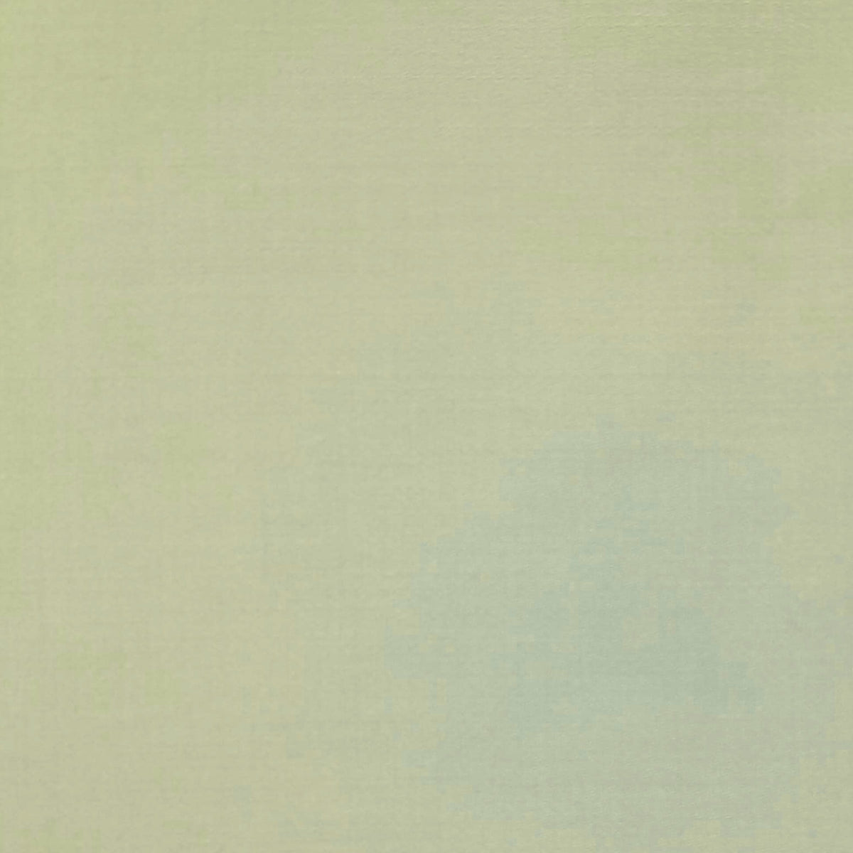 Fabric Egyptian Cotton Cream 100% Cotton TC400 280cm