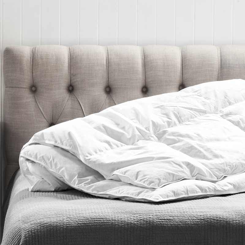 Egyptian Cotton DUVET INNER Queen Siberian  Goose Down Duvet Inner