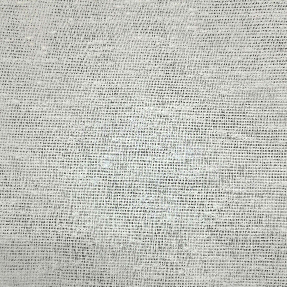 FAHM Lace & Voile Fabrics Fabric Sheer 818-56 White 280 cm