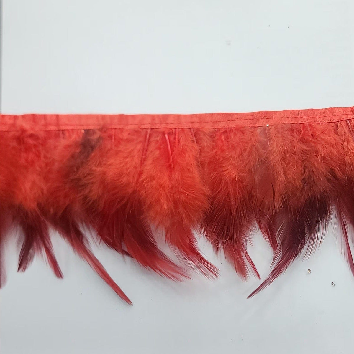 FEATHER TRIMMINGS HABBY Feather Trimming Light Weight (7683985309785)