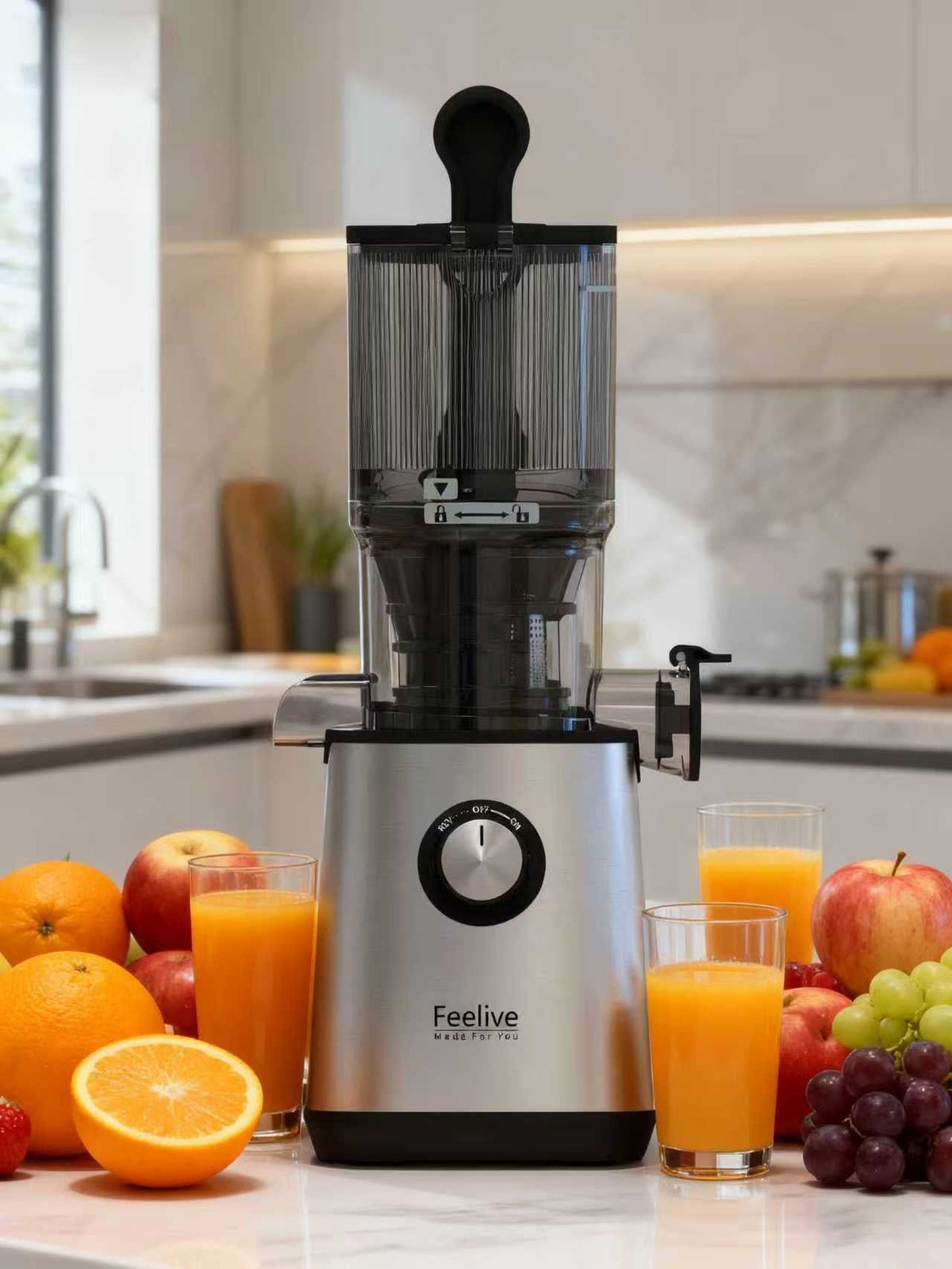 FEELIVE Juice Extractor Feelive Cold Press Slow Juicer FSJ108