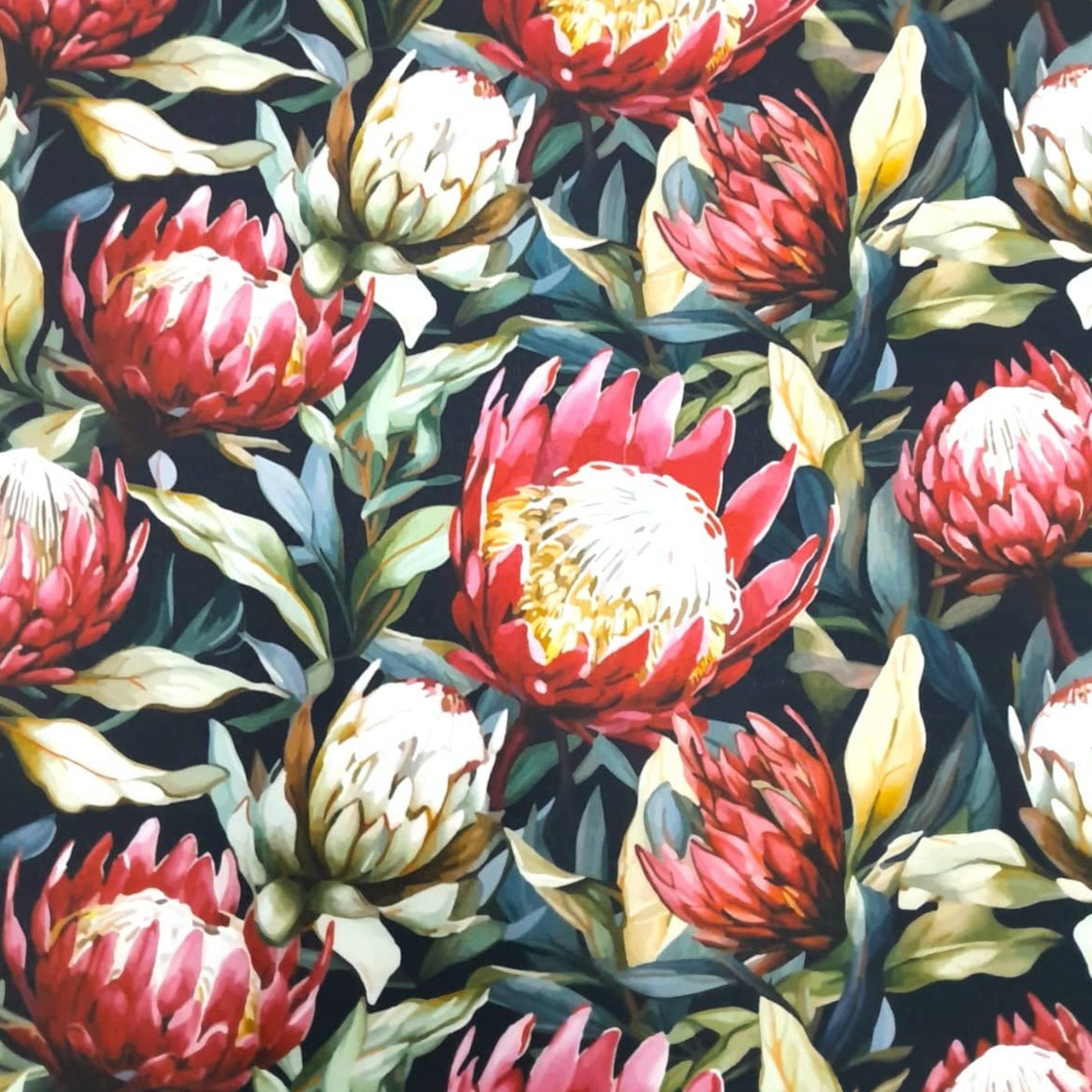 Loomcraft Fabrics Printed Mini Matt Printed Mini Matt Protea Fantasy 140 cm