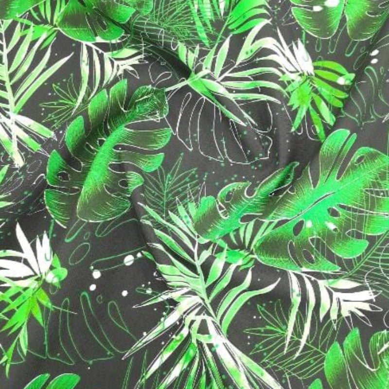 Golden Glow Printed Mini Matt Green / Black Printed Mini Matt Protea Leaves W23-248 Collection 140 cm (7811832021081)