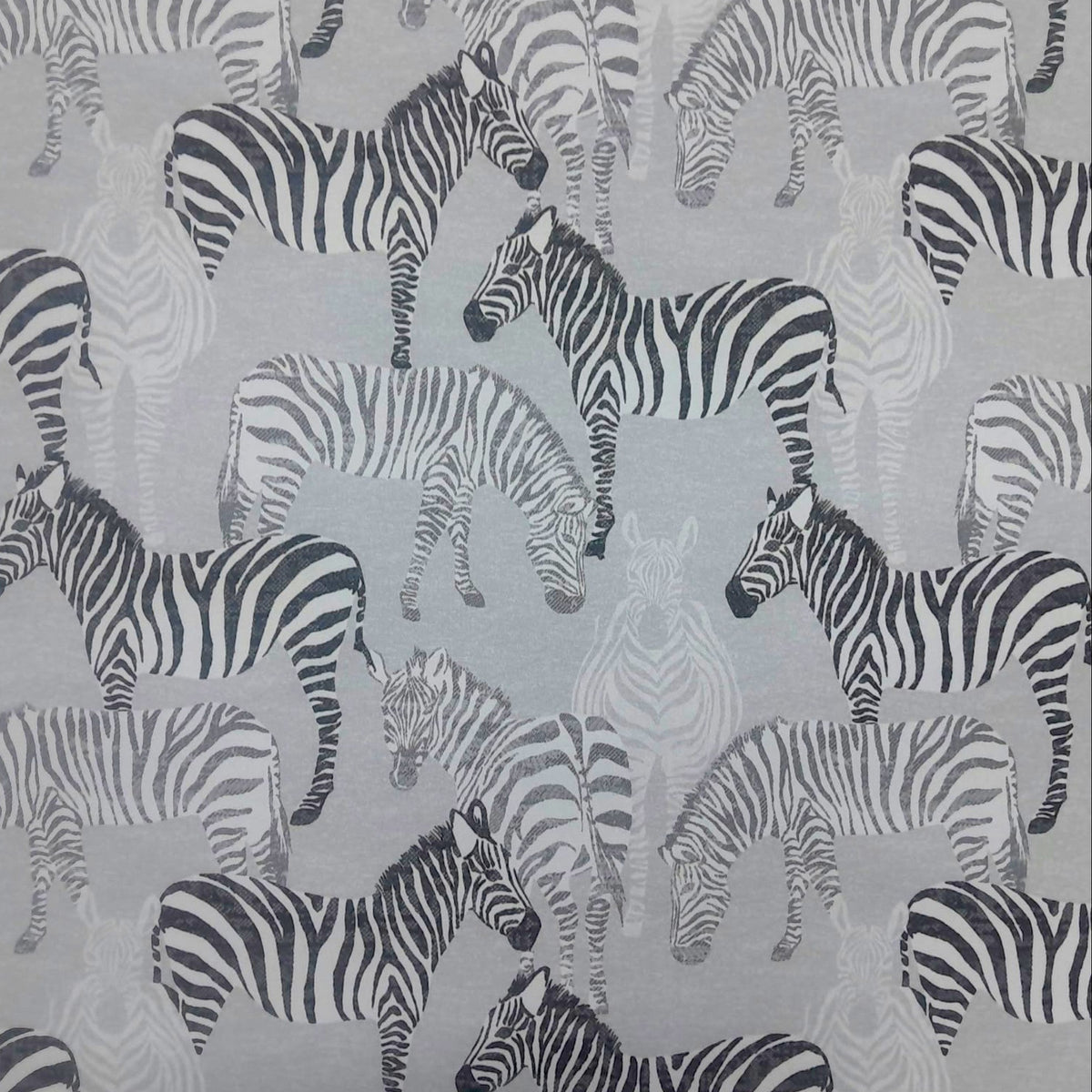 Fabric Printed Outdoor Canvas Zebra 150 cm.