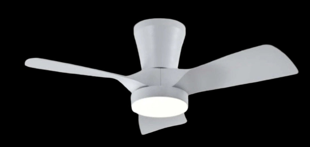HELLO TODAY Ceiling Fan Hello Today Ceiling Fan F4  White (7888590798937)