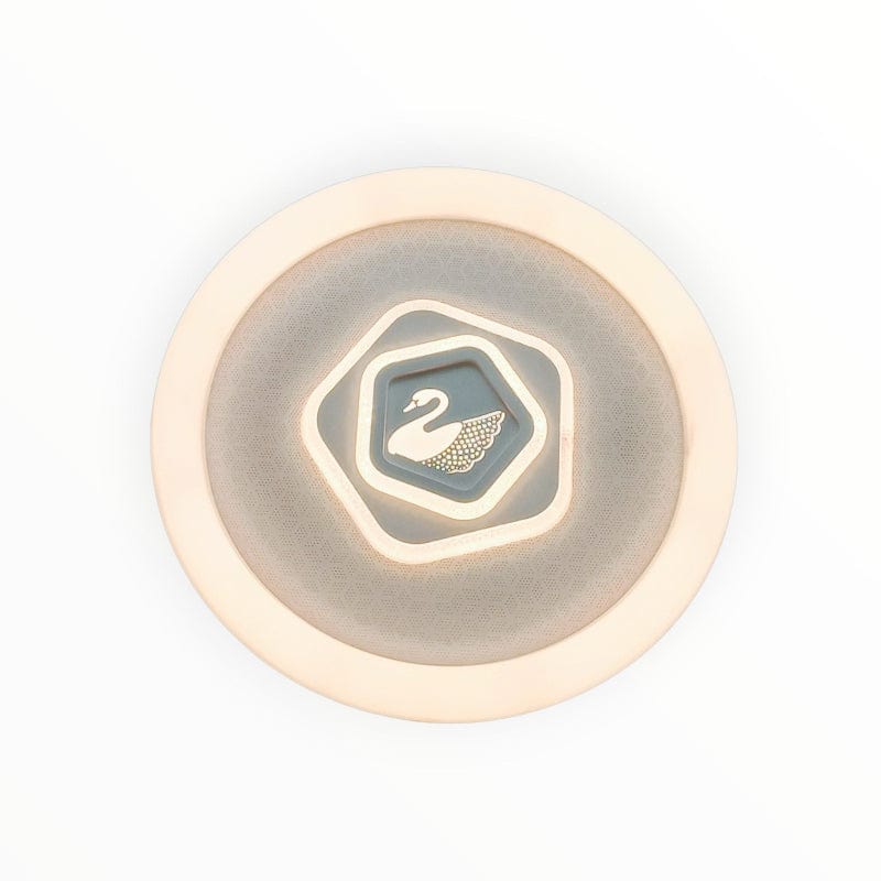 HELLO TODAY Ceiling Light LED Ceiling Light CE045