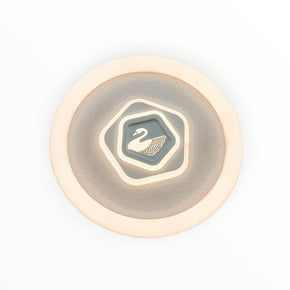 HELLO TODAY Ceiling Light LED Ceiling Light CE045