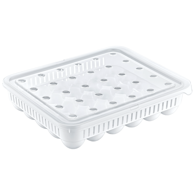 Hobby Life DISH Hobby Life 30 Egg Storage Container 021053 (7300372758617)
