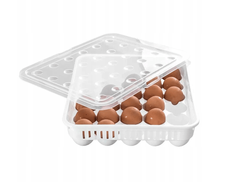 Hobby Life DISH Hobby Life 30 Egg Storage Container 021053 (7300372758617)