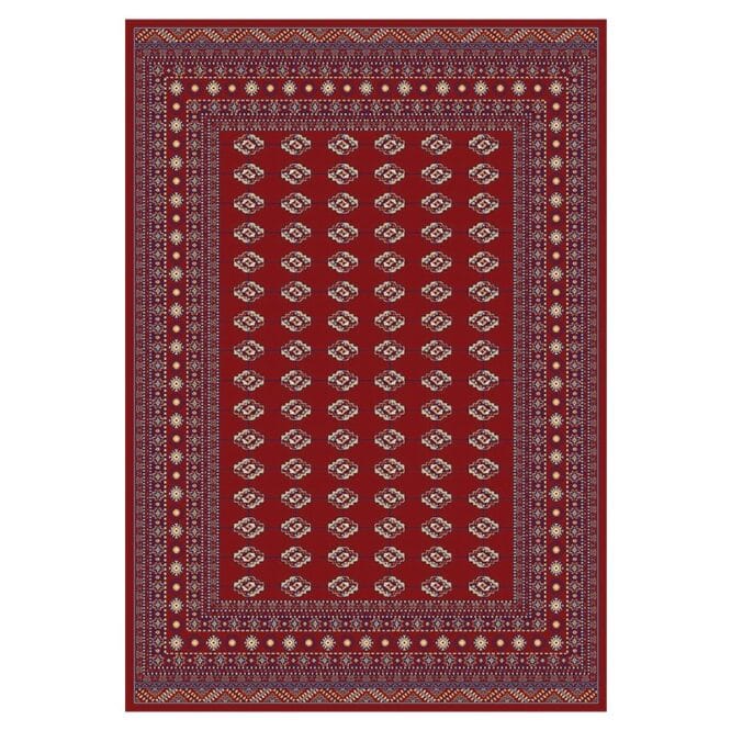 Home Decor rugs 160 X 230cm Traditional Amina Rug 0913-DZ2R