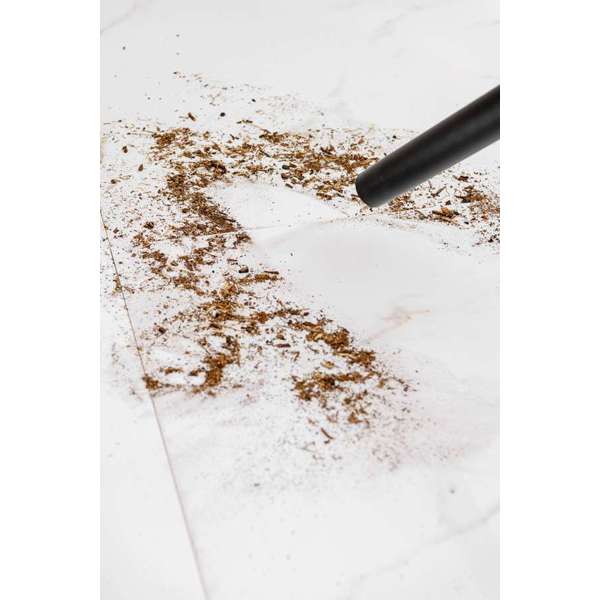 Hoover Vacuum Cleaner Hoover Proclean 20l Stainless Steel Wet And Dry Vacuum HWD21