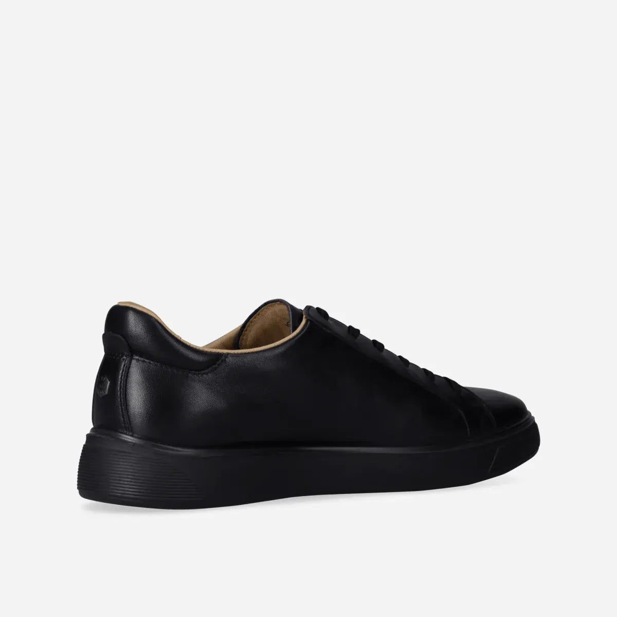 Jekyll & Hide Sneakers Jekyll & Hide Men's Seattle Sneaker- Black 2056BLACK