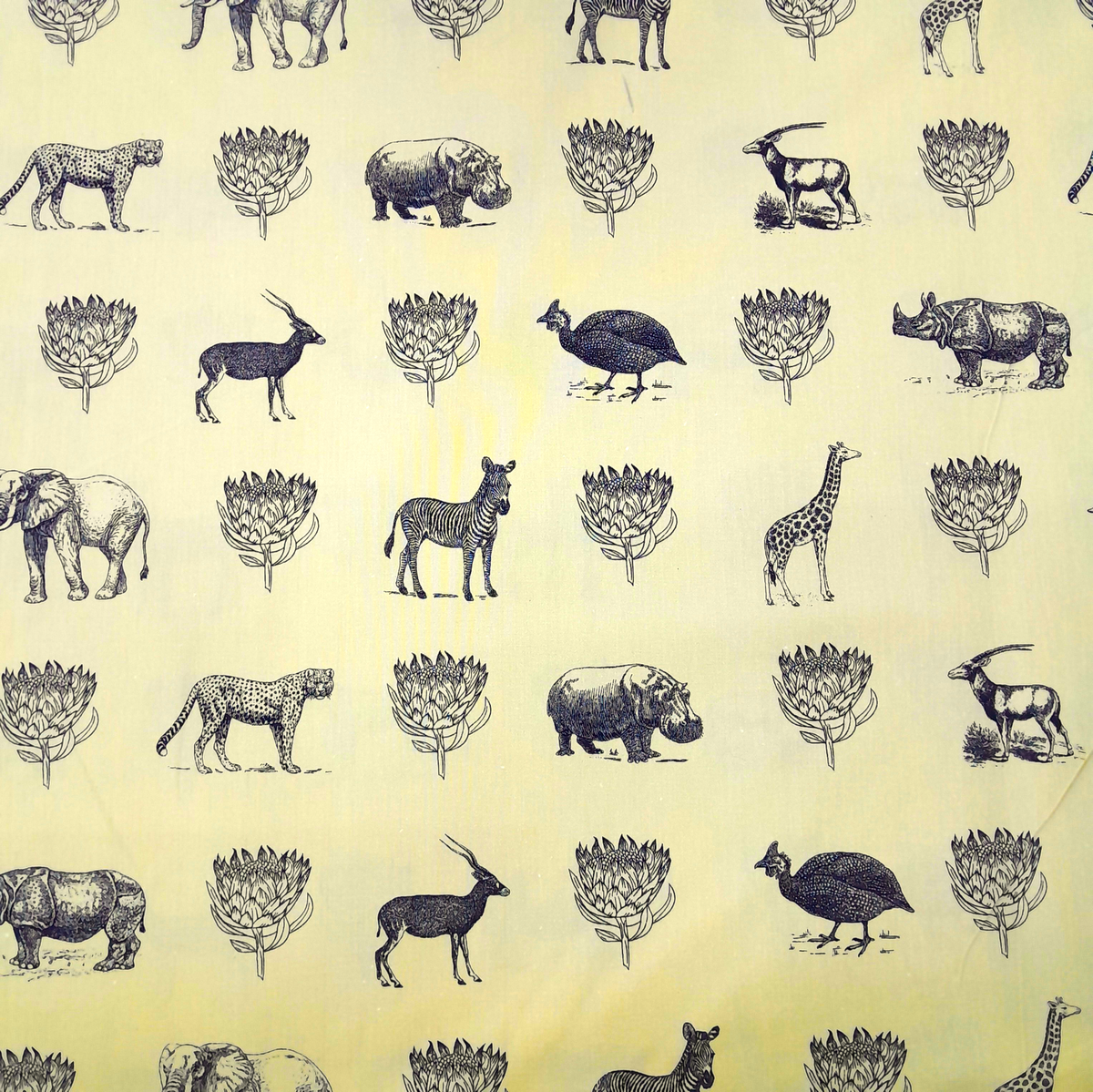 Fabric Cotton Canvas Karoo Cream 280 cm.