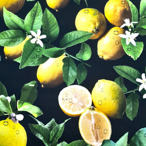 Tablecloth Lemons Black 150 cm x 300 cm