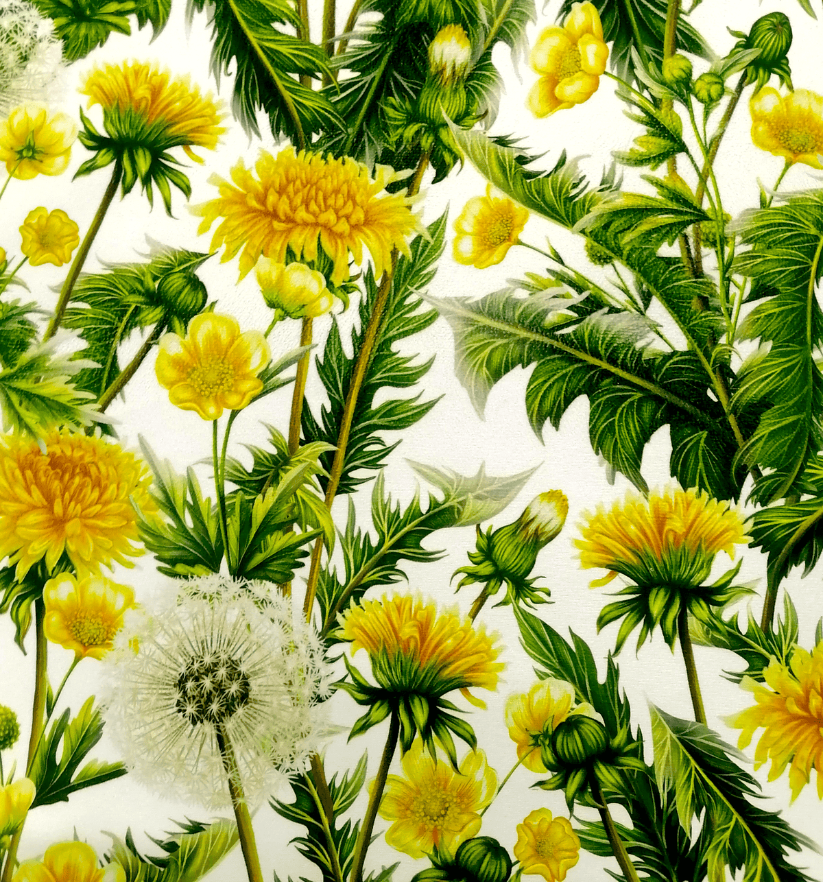 Loomcraft Fabrics Printed Velvet Upholstery Printed Velvet Floral Dandelion 140 cm