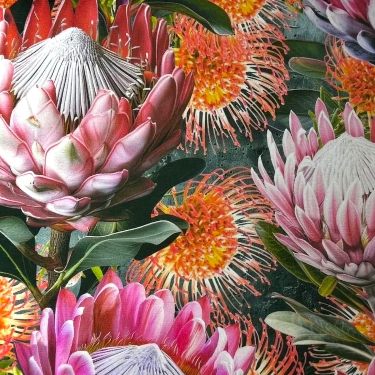 Loomcraft Fabrics printed velvet Upholstery Printed Velvet Protea 2 140 cm