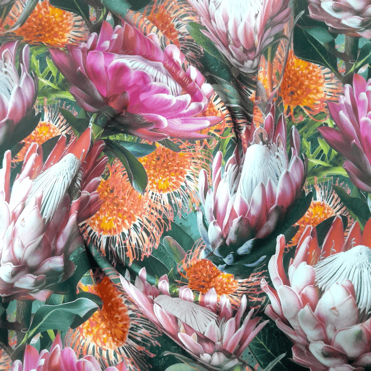 Loomcraft Fabrics printed velvet Upholstery Printed Velvet Protea 2 140 cm