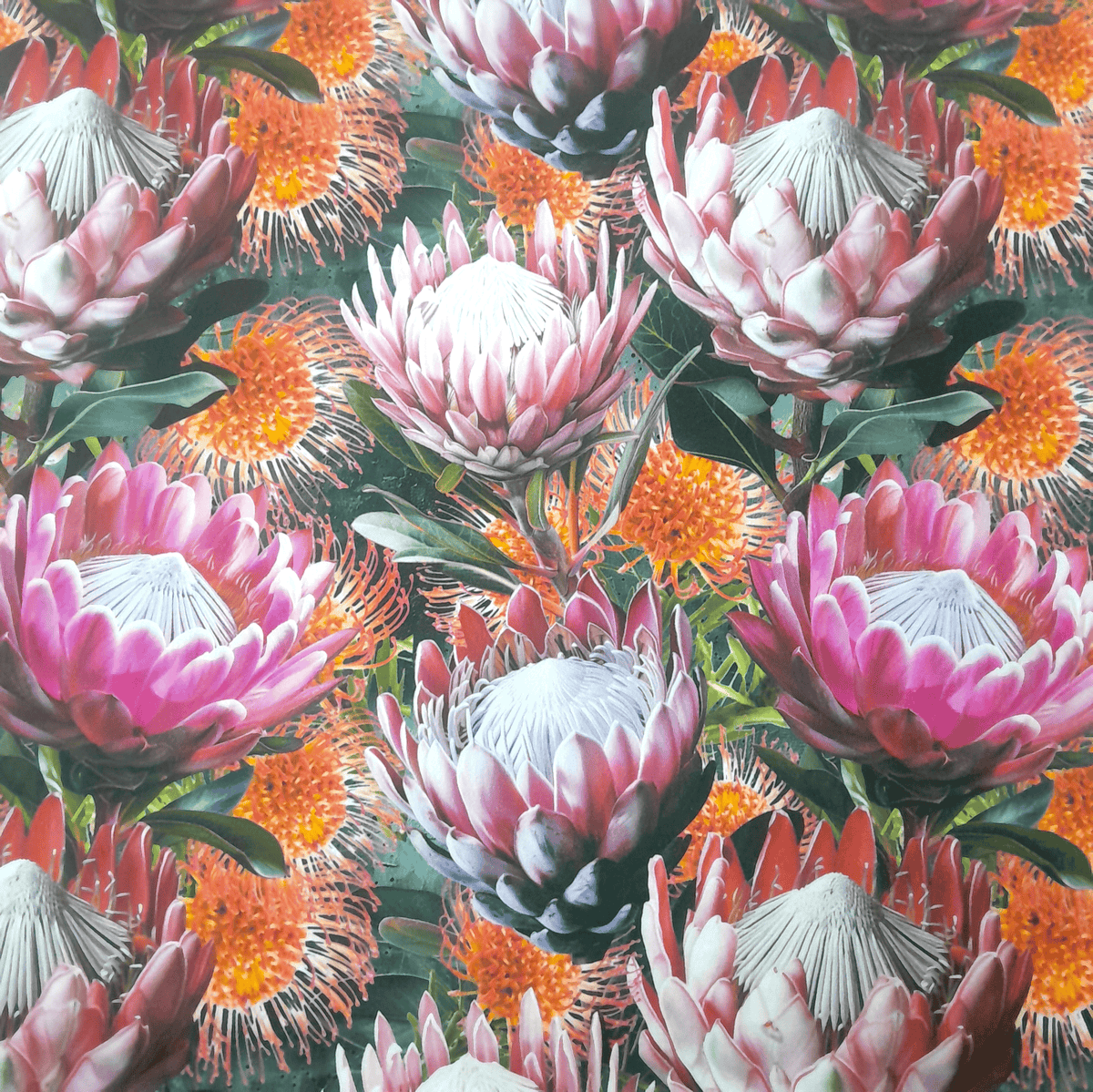 Loomcraft Fabrics printed velvet Upholstery Printed Velvet Protea 2 140 cm
