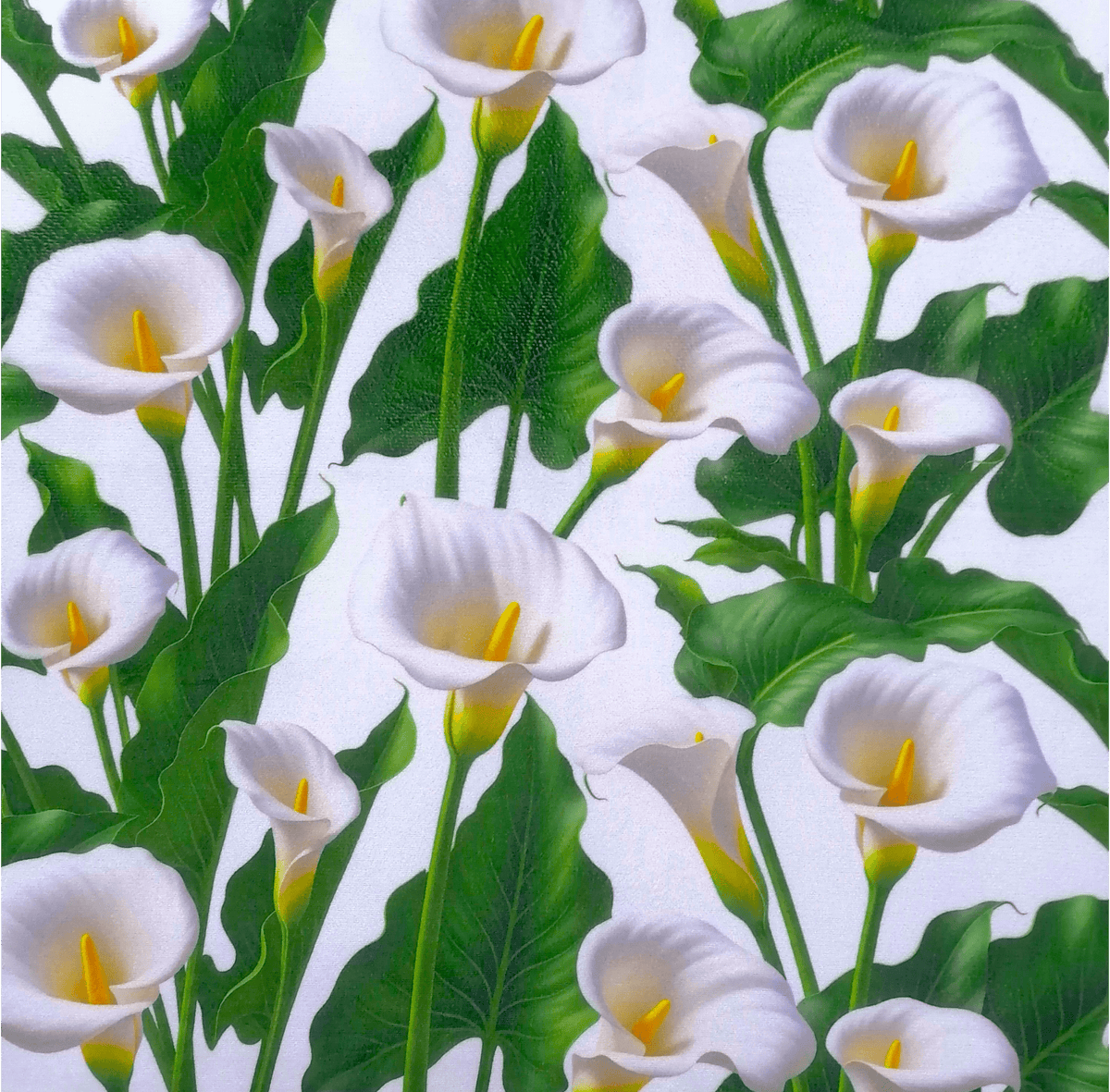 Loomcraft Fabrics Upholstery Fabric Upholstery Printed Velvet Floral Arum Lily 140 cm