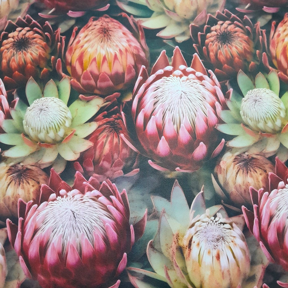 Loomcraft Fabrics Upholstery Vinyl Fabric Upholstery Printed Vinyl Botanical Protea 145 cm