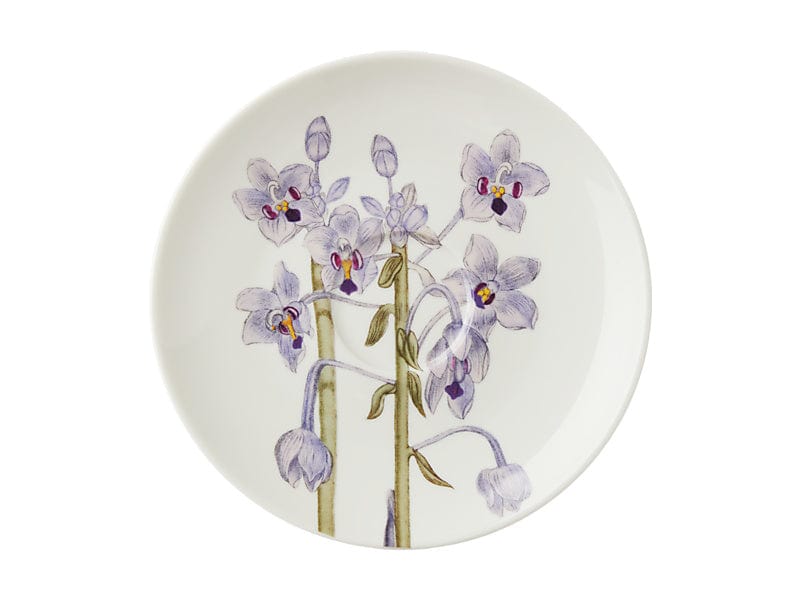 Maxwell & Williams MUGS Maxwell & Williams Royal Botanic Gardens Cup & Saucer Lilac 240ml HV0460 (7504674455641)
