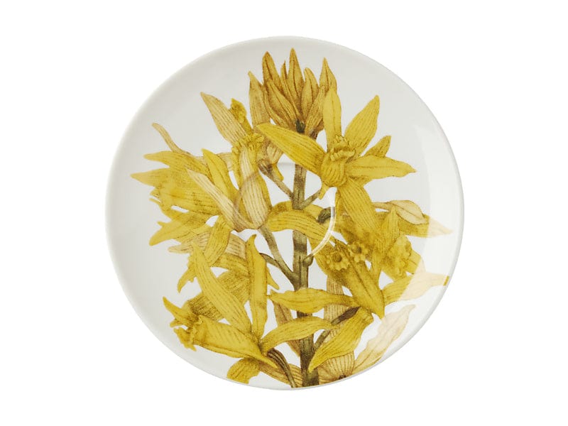 Maxwell & Williams MUGS Maxwell & Williams Royal Botanic Gardens Cup & Saucer Yellow 240ml HV0456 (7504667836505)