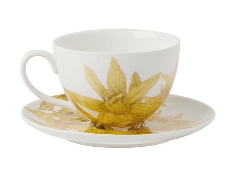 Maxwell & Williams MUGS Maxwell & Williams Royal Botanic Gardens Cup & Saucer Yellow 240ml HV0456 (7504667836505)
