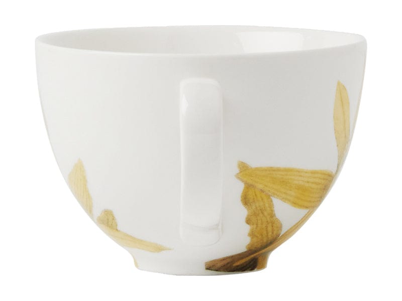 Maxwell & Williams MUGS Maxwell & Williams Royal Botanic Gardens Cup & Saucer Yellow 240ml HV0456 (7504667836505)