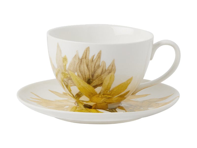 Maxwell & Williams MUGS Maxwell & Williams Royal Botanic Gardens Cup & Saucer Yellow 240ml HV0456 (7504667836505)