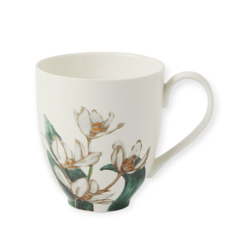 Maxwell & Williams MUGS Maxwell & Williams Royal Botanic Gardens Mug White 350ml HV0451 (7504661151833)