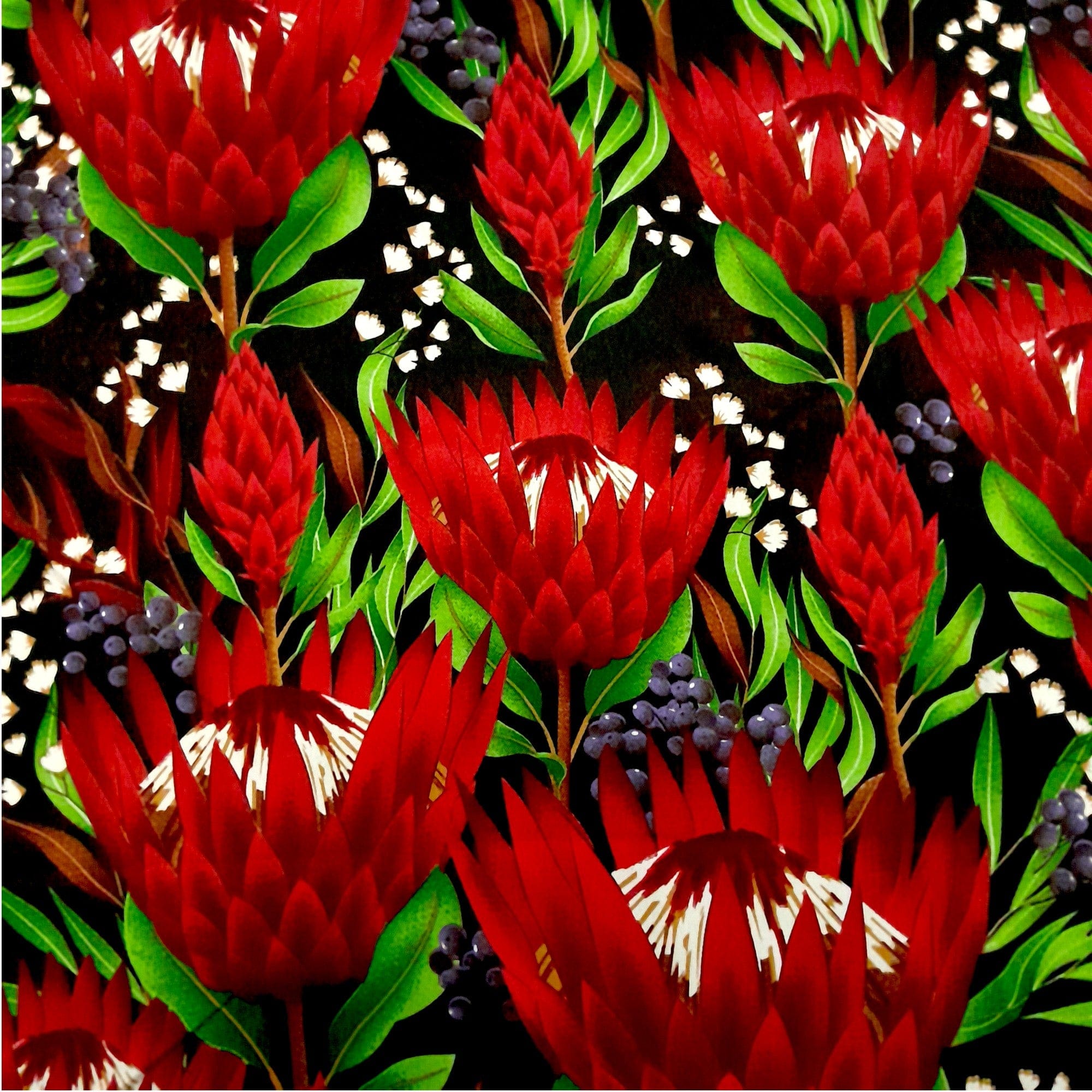 Mazztex Aadil Mini Matt Fabric Black Printed Mini Matt Protea Flowers 140 cm