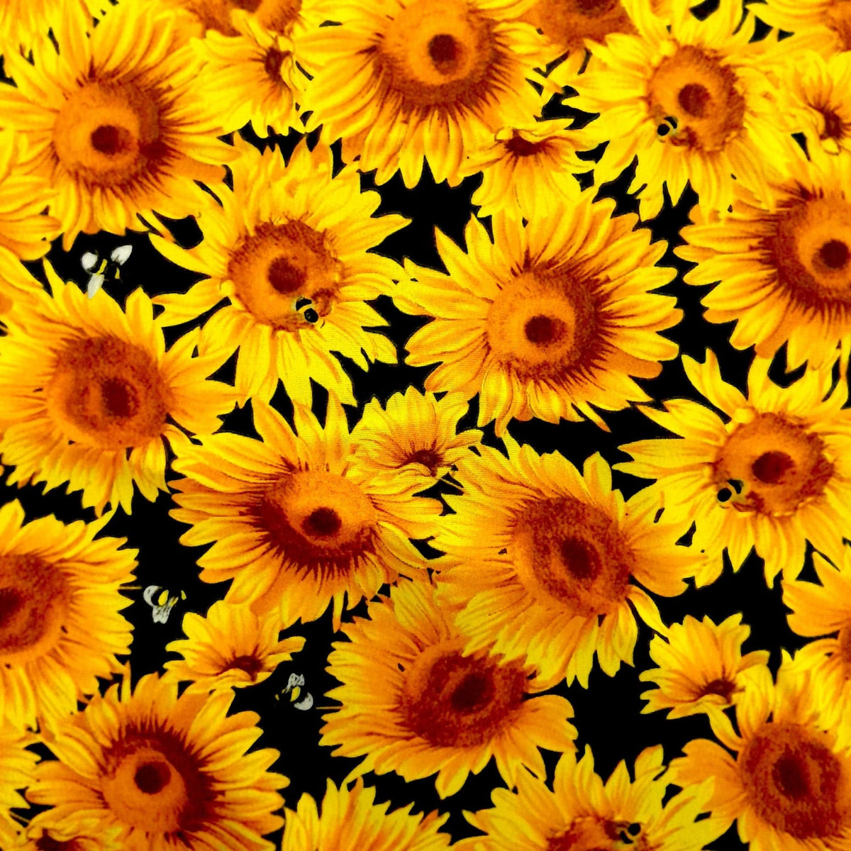 Mazztex Aadil Mini Matt Fabric Black Printed Mini Matt Sunflower Bees 140 cm