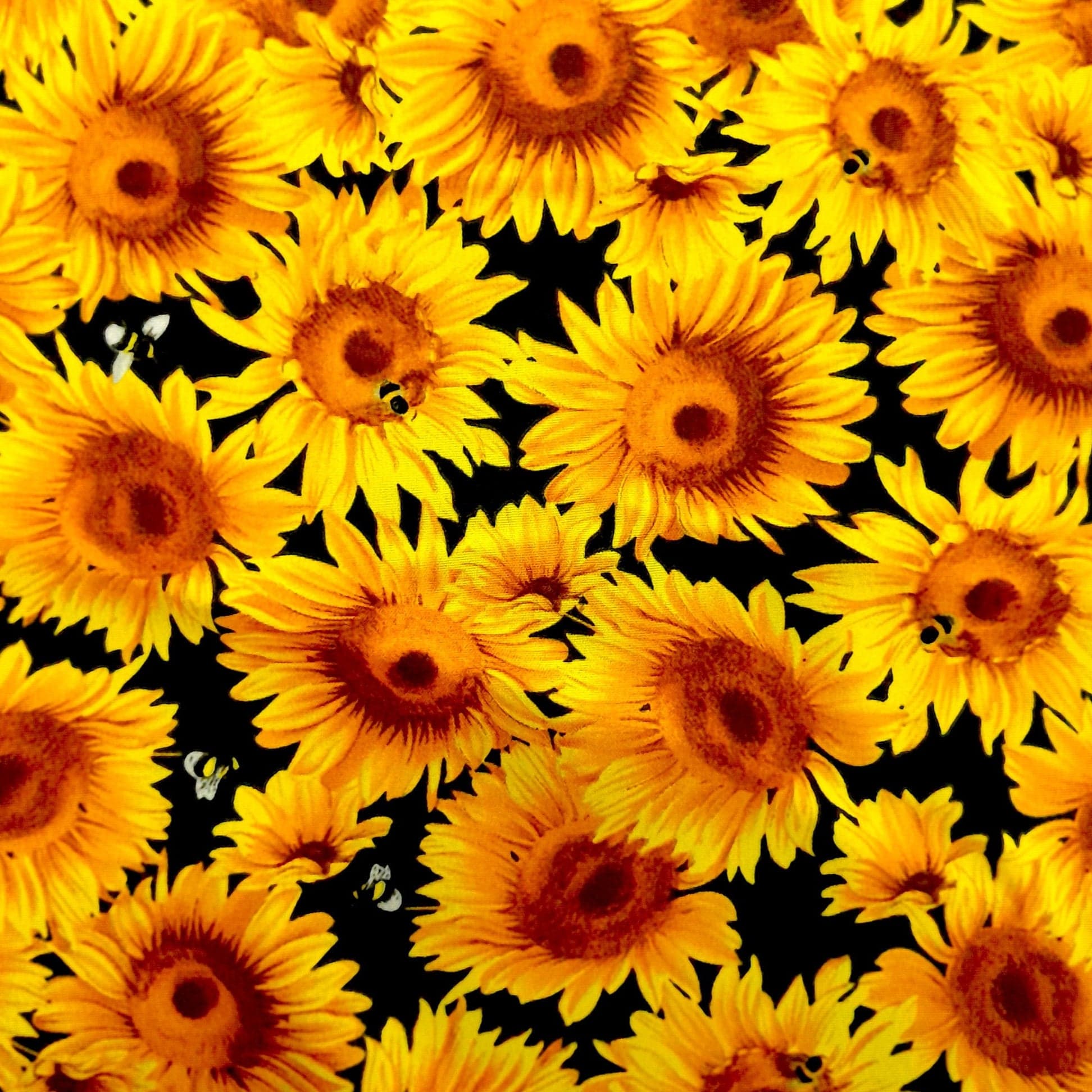 Mazztex Aadil Mini Matt Fabric Black Printed Mini Matt Sunflower Bees 140 cm