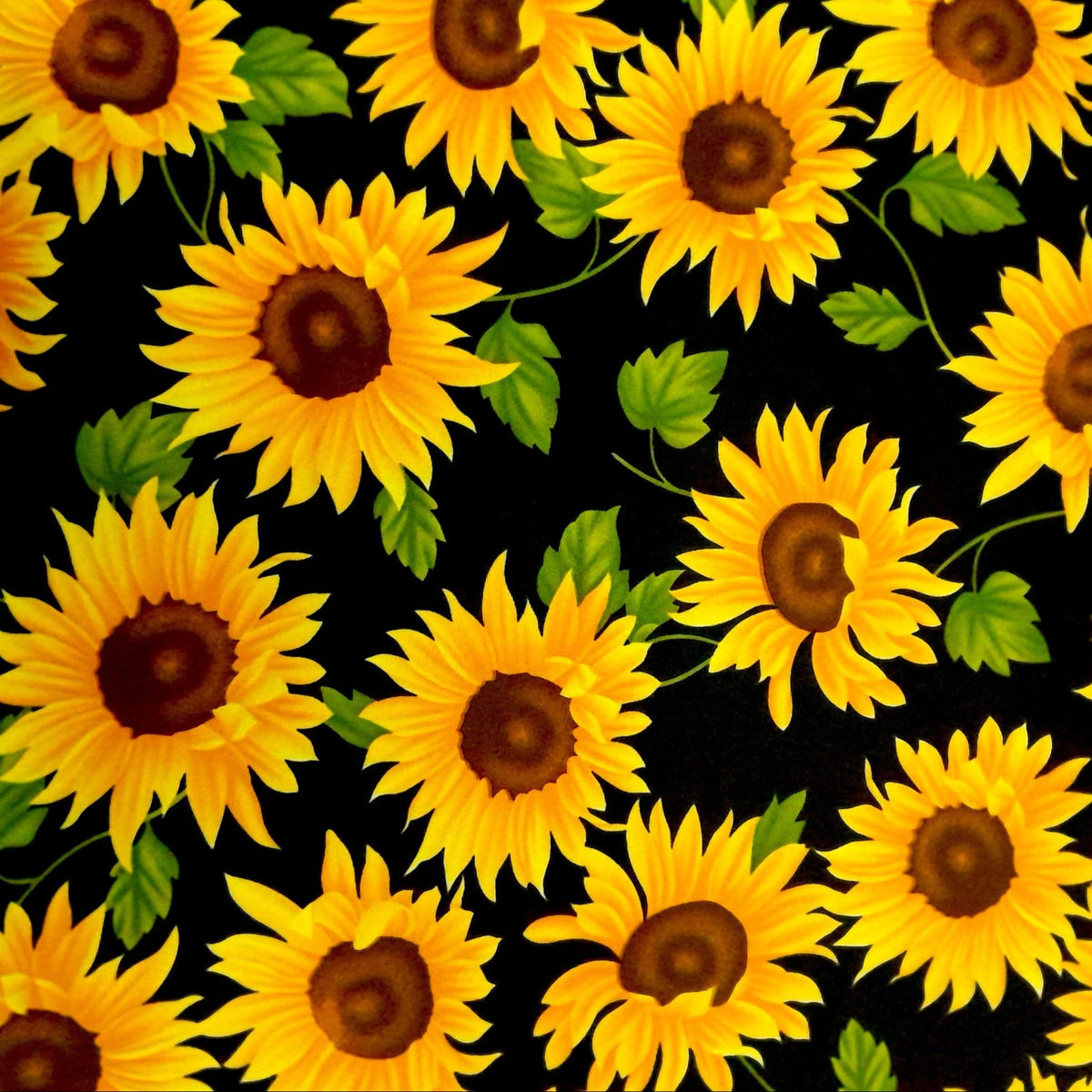 Mazztex Aadil Mini Matt Fabric Black Printed Mini Matt Sunflower Big 140 cm