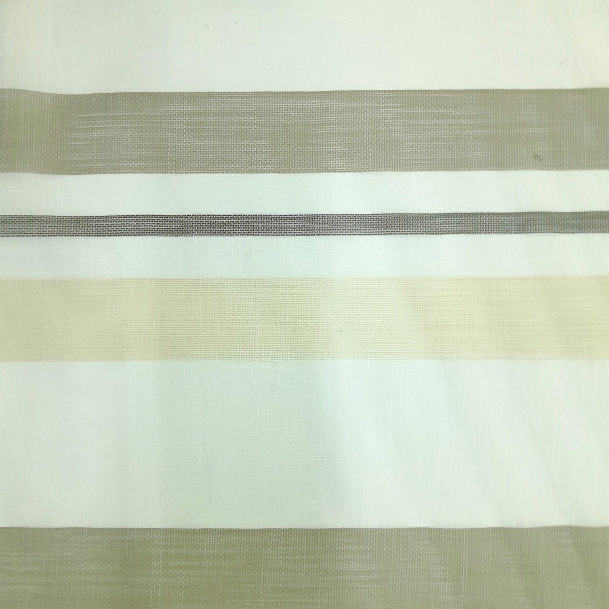 MHC Wolrd SHEER VOILE Brown Fabric Verdi Fancy Stripe Voile DKM 280 cm