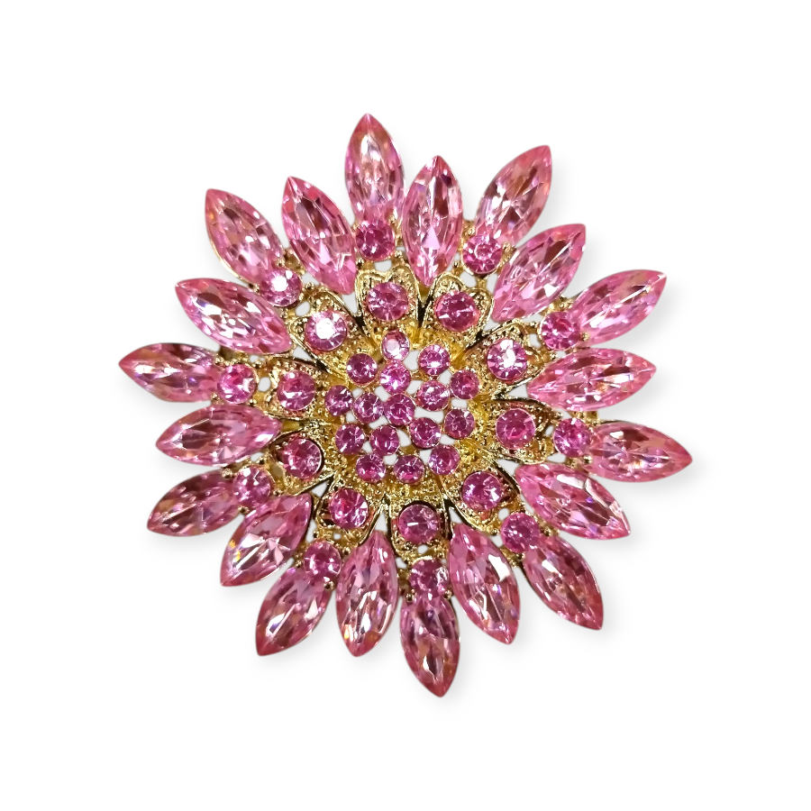 MHC WORLD Brooches Pink Fancy Buckles Brooch Pin