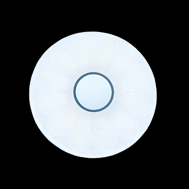 MHC World CEILING LIGHT LED Ceiling Light LY2339-L/9002