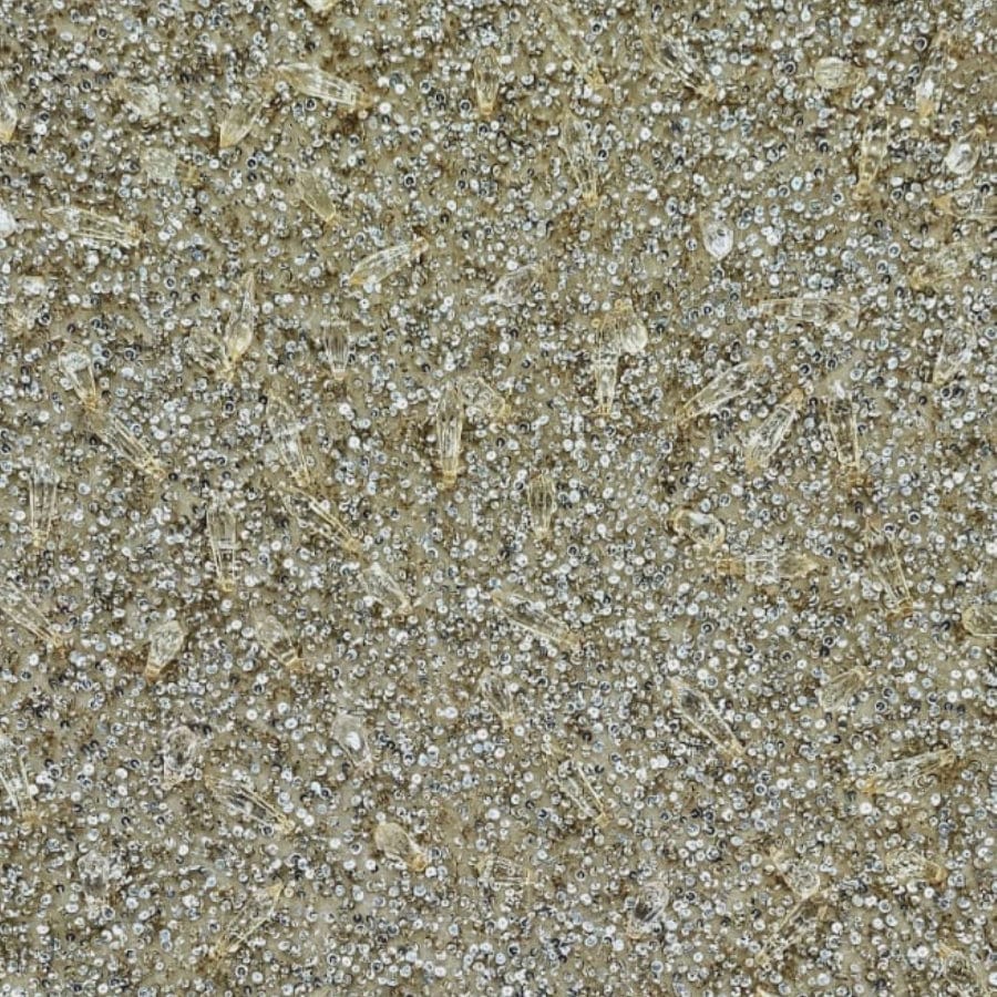 MHC WORLD Exclusive Hand Beaded Champagne Exclusive Hand Beaded Lace 140cm