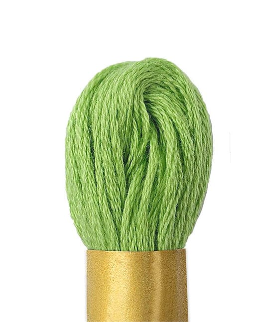 MHC WORLD Thread Green C717 Circulo Embroidery Skein