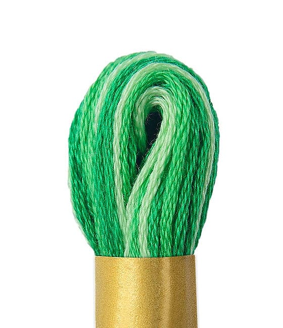 MHC WORLD Thread Green Mix C986 Circulo Embroidery Skein