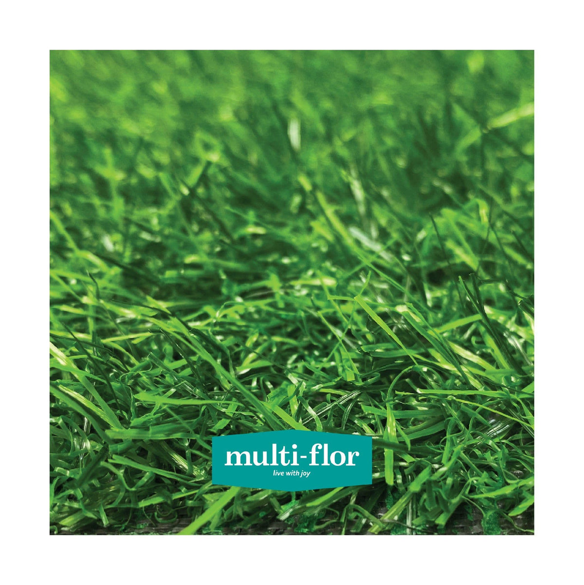 MULTI-FLOR Grass Multi-Flor Montagu Grass 1.50 x 2.00m Roompack