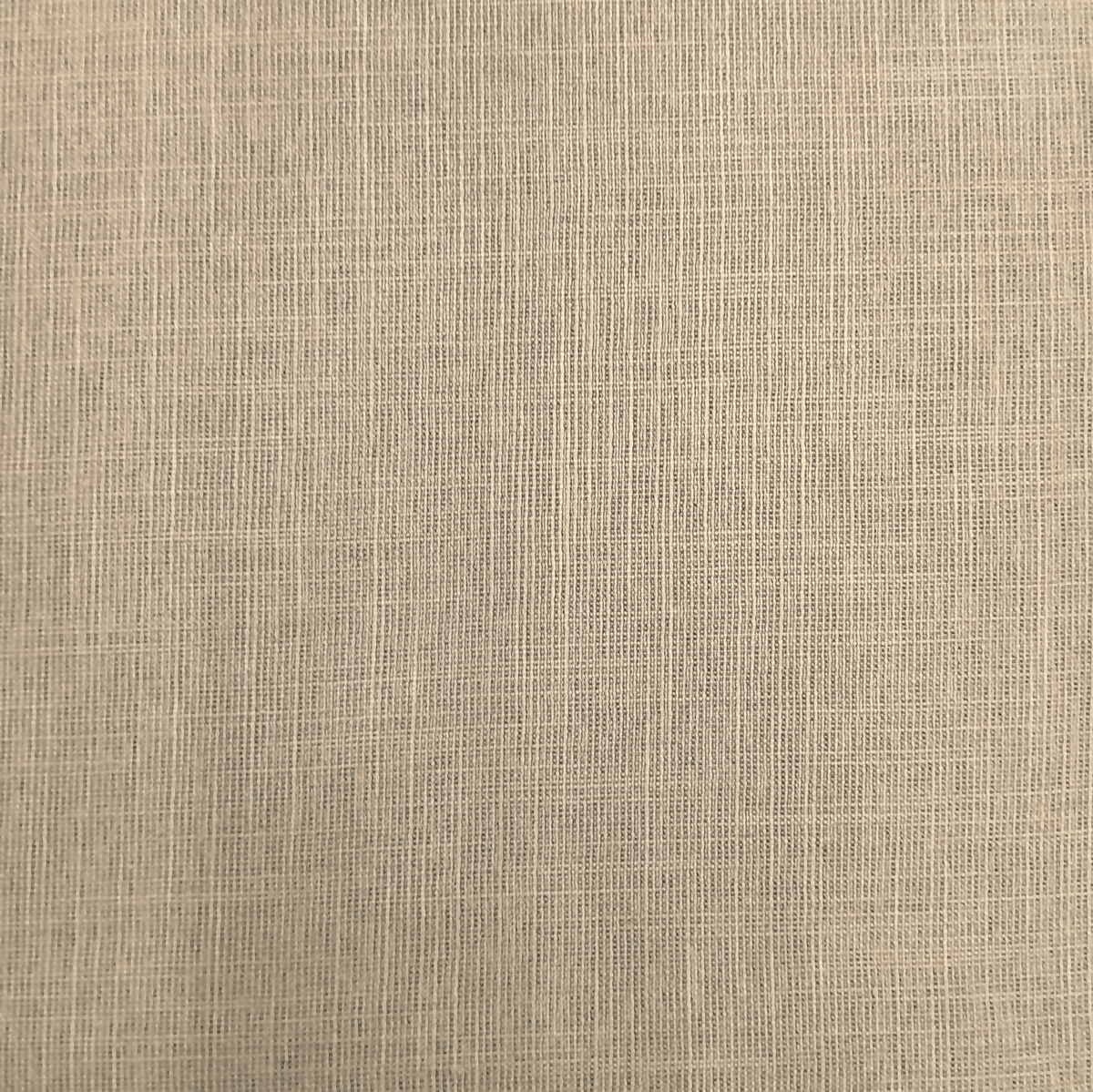 Nettex Curtain Fabrics Beige Nettex Special Clearance Curtain Plain 140 cm