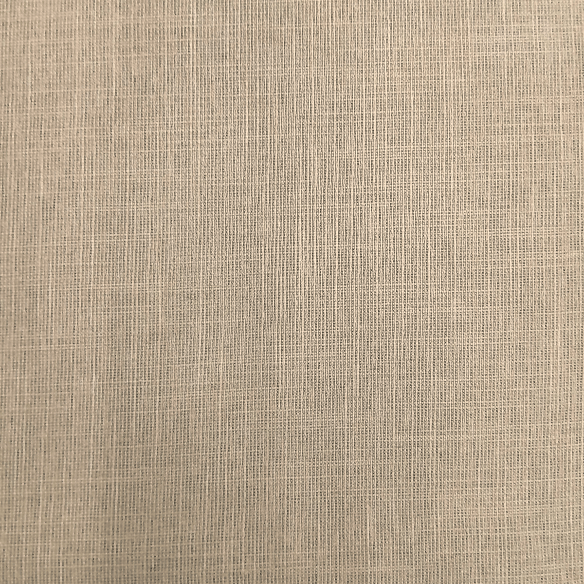 Nettex Curtain Fabrics Stone Nettex Special Clearance Curtain Plain 140 cm