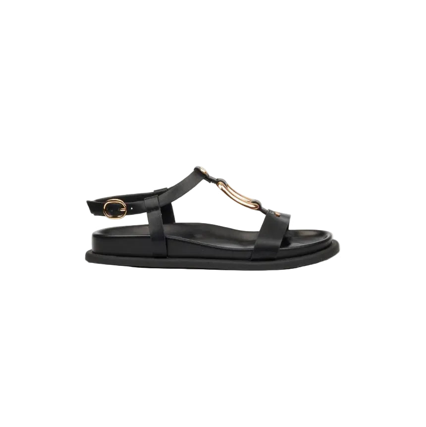 Miss Black Polpetta 4 Gold Trim Sandal-Black