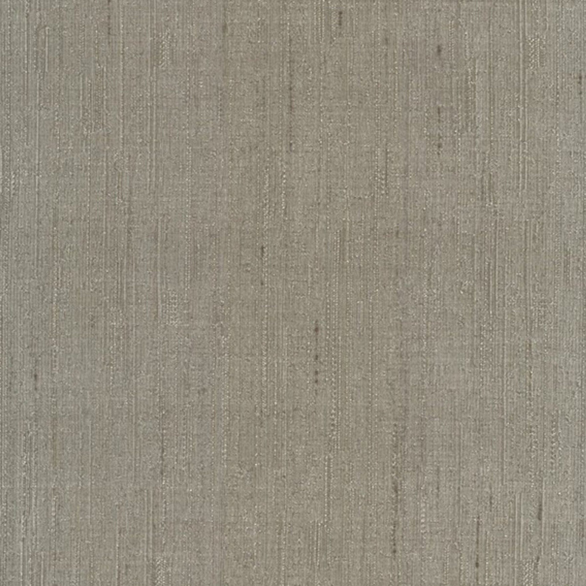 Papini Curtain Fabrics Latte Fabric Curtain Nevada 280 cm