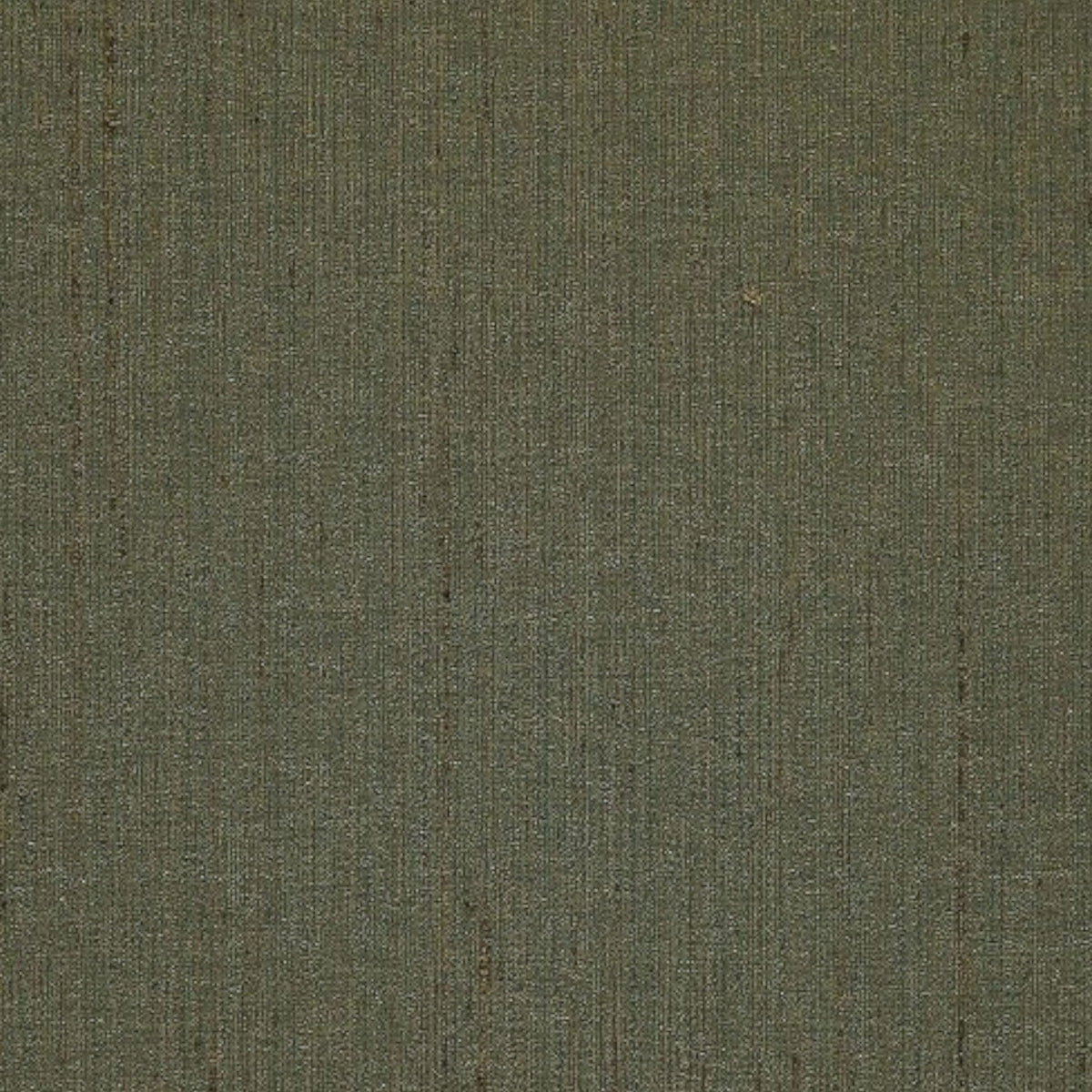 Papini Curtain Fabrics Moss Curtain Fabric Vida 280 cm